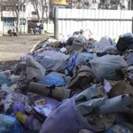 Місячник благоустрою в Сумах: комунальники очищують місто від стихійних куп сміття