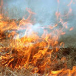 На Сумщині за добу ліквідували 14 пожеж сухої рослинності: під загрозою опинилися сільгоспугіддя