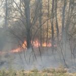 За добу під ударом ворога опинилися 46 населених пунктів у 20 громадах Сумщини – Сумська ОВА