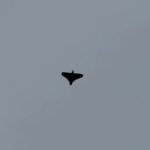 Результати роботи вогневих груп ДПСУ на Сумщині: знищено 58 одиниць ворожої авіатехніки