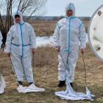 На Охтирщині активізувалися кліщі: медики нагадують про небезпеку